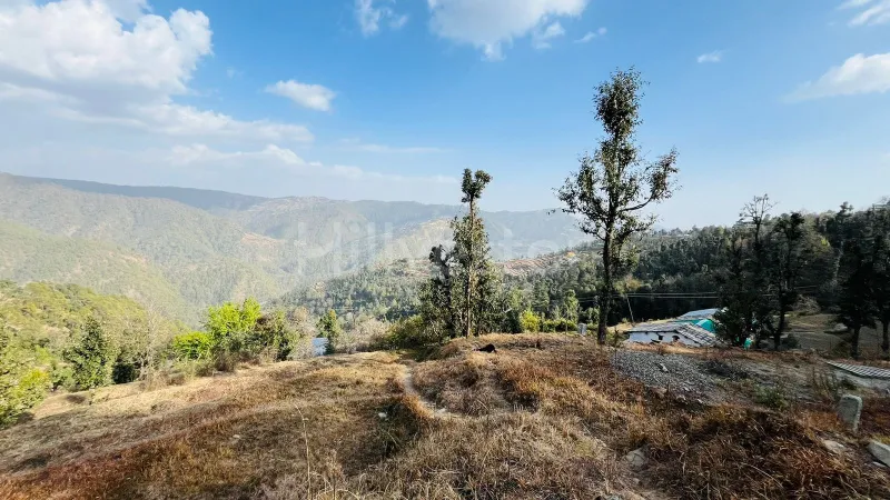 240 sq. yd. Residential Plot near Dhanachuli, Mukteshwar