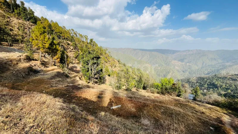 240 sq. yd. Residential Plot near Dhanachuli, Mukteshwar