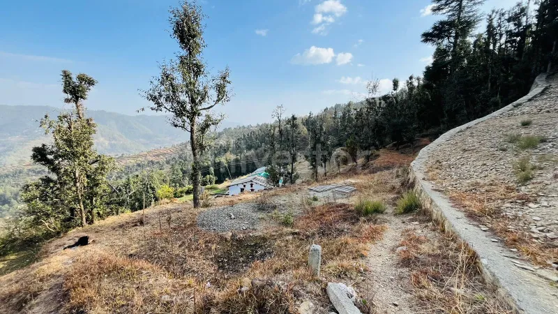 240 sq. yd. Residential Plot near Dhanachuli, Mukteshwar