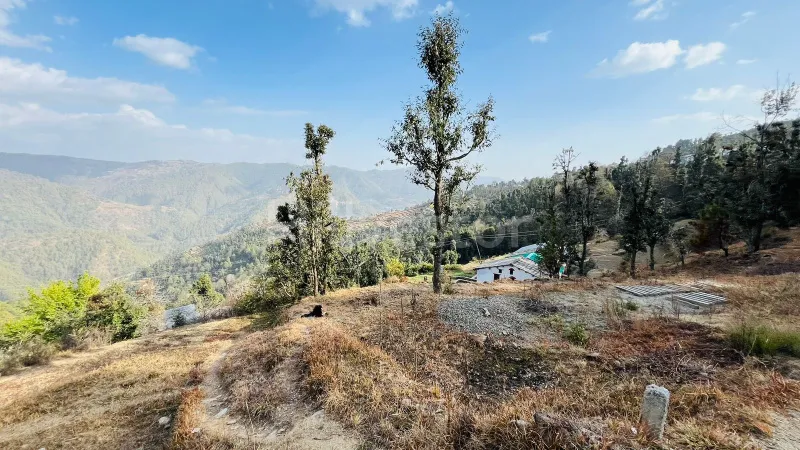 240 sq. yd. Residential Plot near Dhanachuli, Mukteshwar