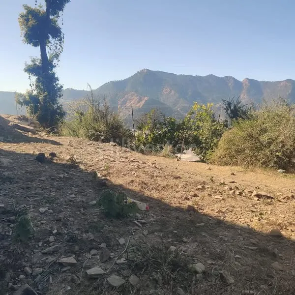 580 sq. yd. Residential Plot near Shoghi Bypass, Beolia, Shimla