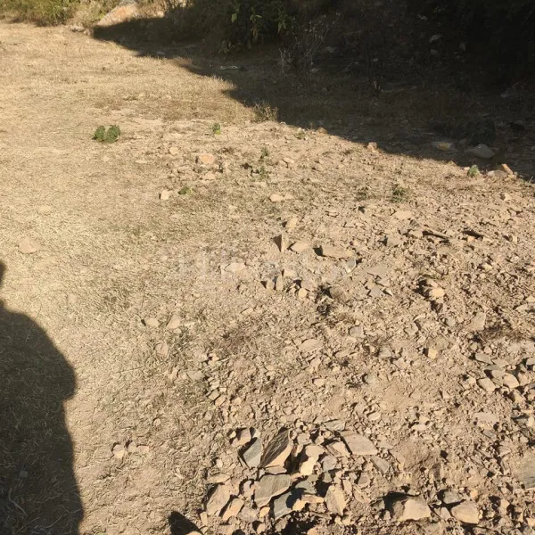 580 sq. yd. Residential Plot near Shoghi Bypass, Beolia, Shimla
