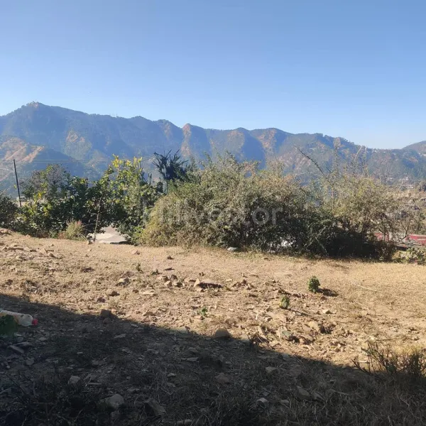 580 sq. yd. Residential Plot near Shoghi Bypass, Beolia, Shimla