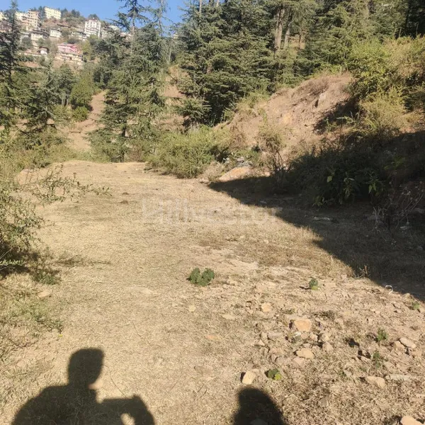 580 sq. yd. Residential Plot near Shoghi Bypass, Beolia, Shimla