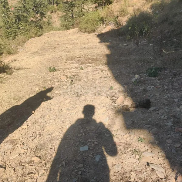 580 sq. yd. Residential Plot near Shoghi Bypass, Beolia, Shimla