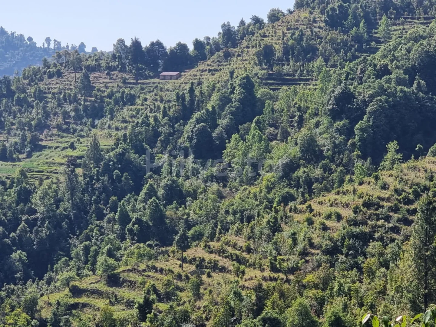 300 sq. yd. Residential Plot near Dhanachuli Bend, Sunderkhal, Mukteshwar