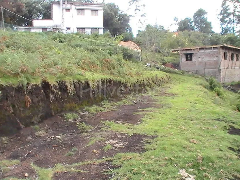 1,210 sq. yd. Residential Land near Hindustan Unilever Limited, Kodaikanal