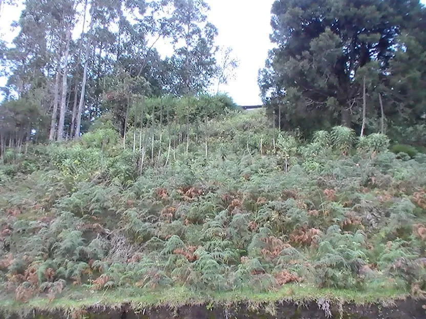 1,210 sq. yd. Residential Land near Hindustan Unilever Limited, Kodaikanal