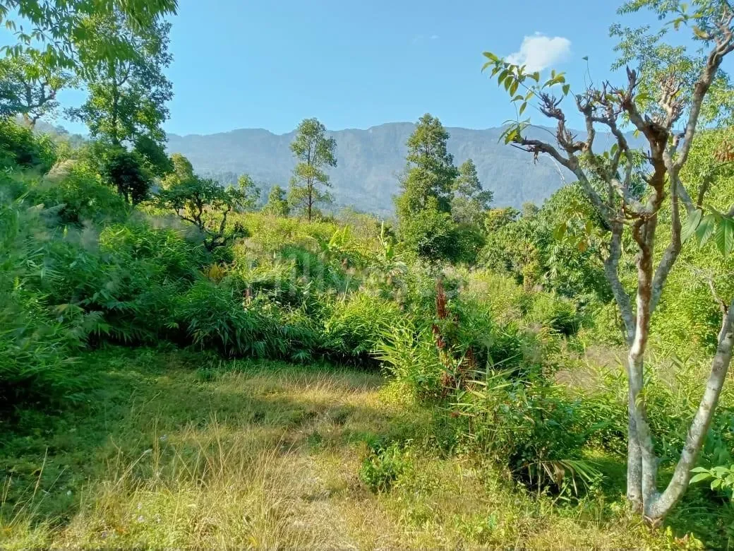 130 sq. yd. Residential Plot near Ahaldara View Point, Sittong, Kurseong