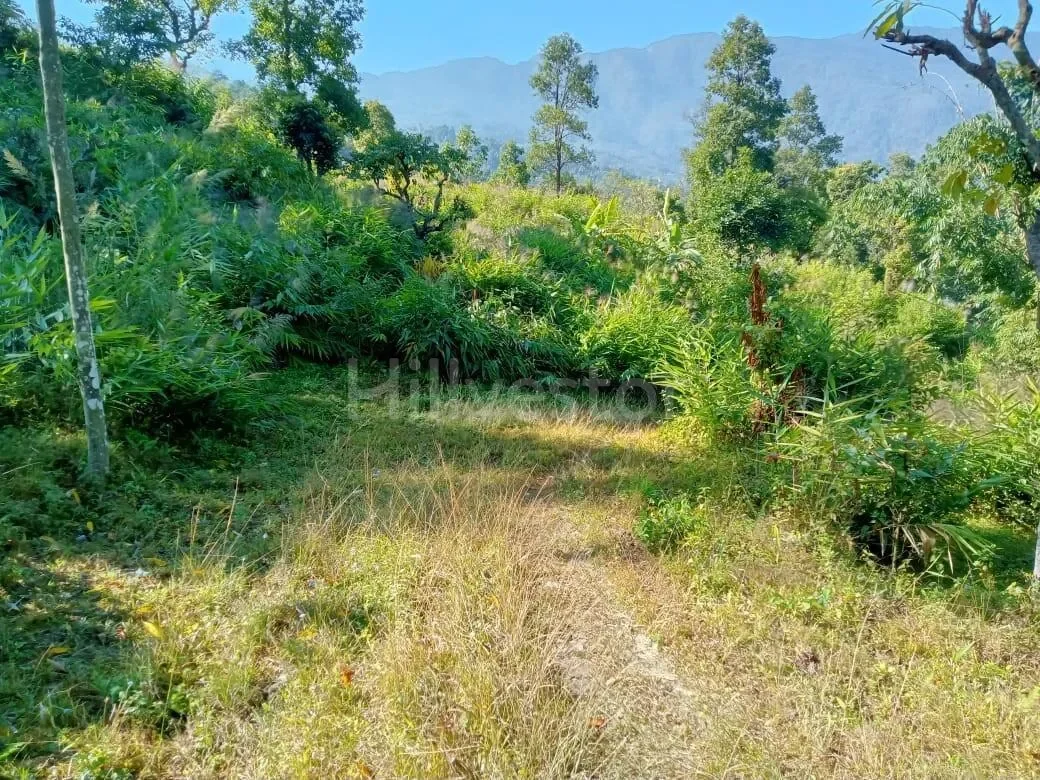130 sq. yd. Residential Plot near Ahaldara View Point, Sittong, Kurseong