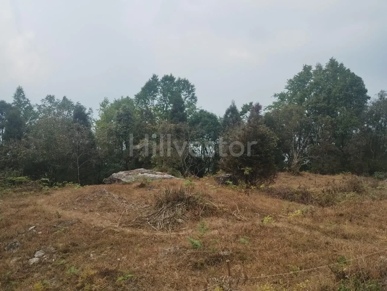 130 sq. yd. Residential Plot near Ahaldara View Point, Sittong, Kurseong