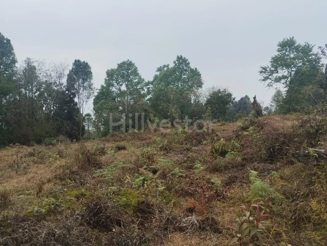 130 sq. yd. Residential Plot near Ahaldara View Point, Sittong, Kurseong