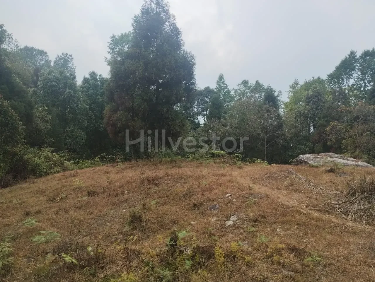 130 sq. yd. Residential Plot near Ahaldara View Point, Sittong, Kurseong