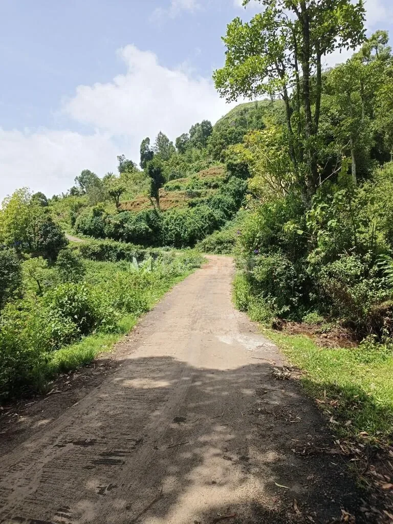 13,900 sq. yd. Residential Land in Vilpatti, Kodaikanal