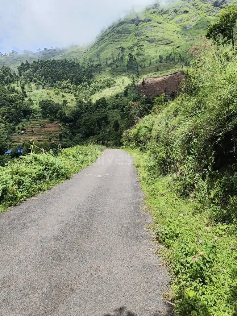 13,900 sq. yd. Residential Land in Vilpatti, Kodaikanal