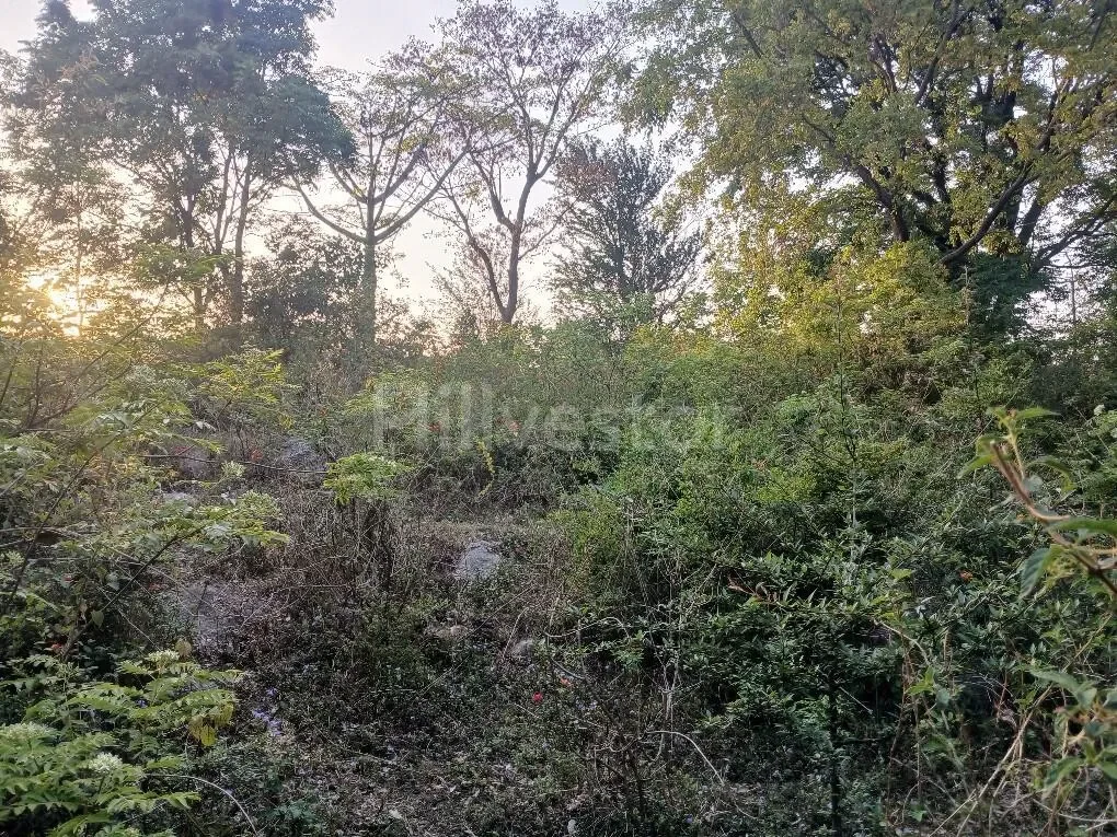 150 sq. yd. Residential Land in Sudher, Dharamshala