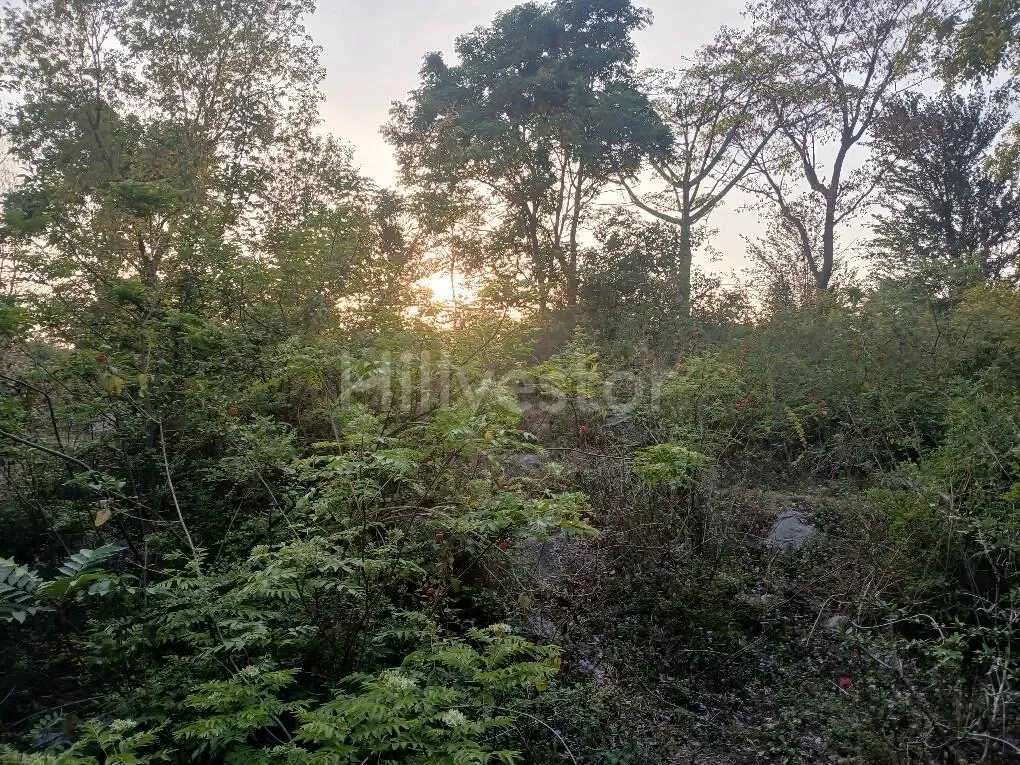 150 sq. yd. Residential Land in Sudher, Dharamshala