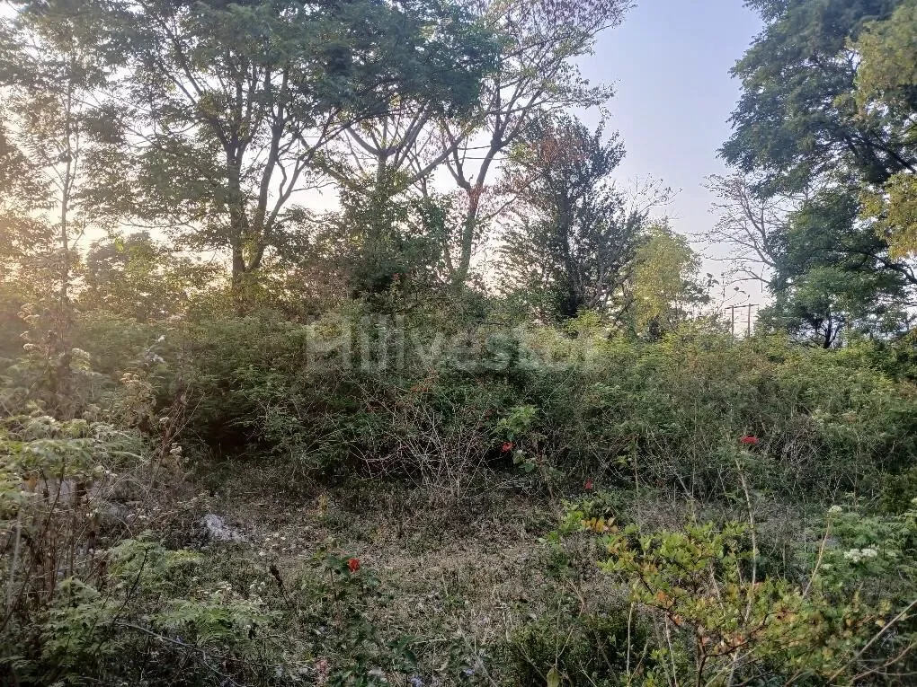 150 sq. yd. Residential Land in Sudher, Dharamshala