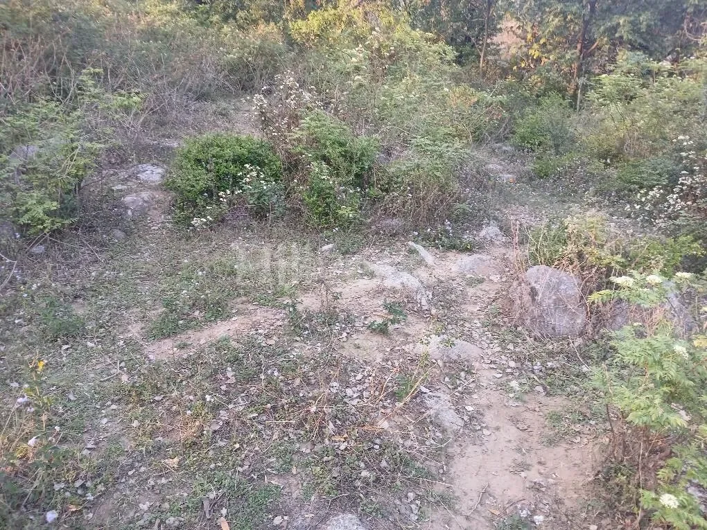 150 sq. yd. Residential Land in Sudher, Dharamshala