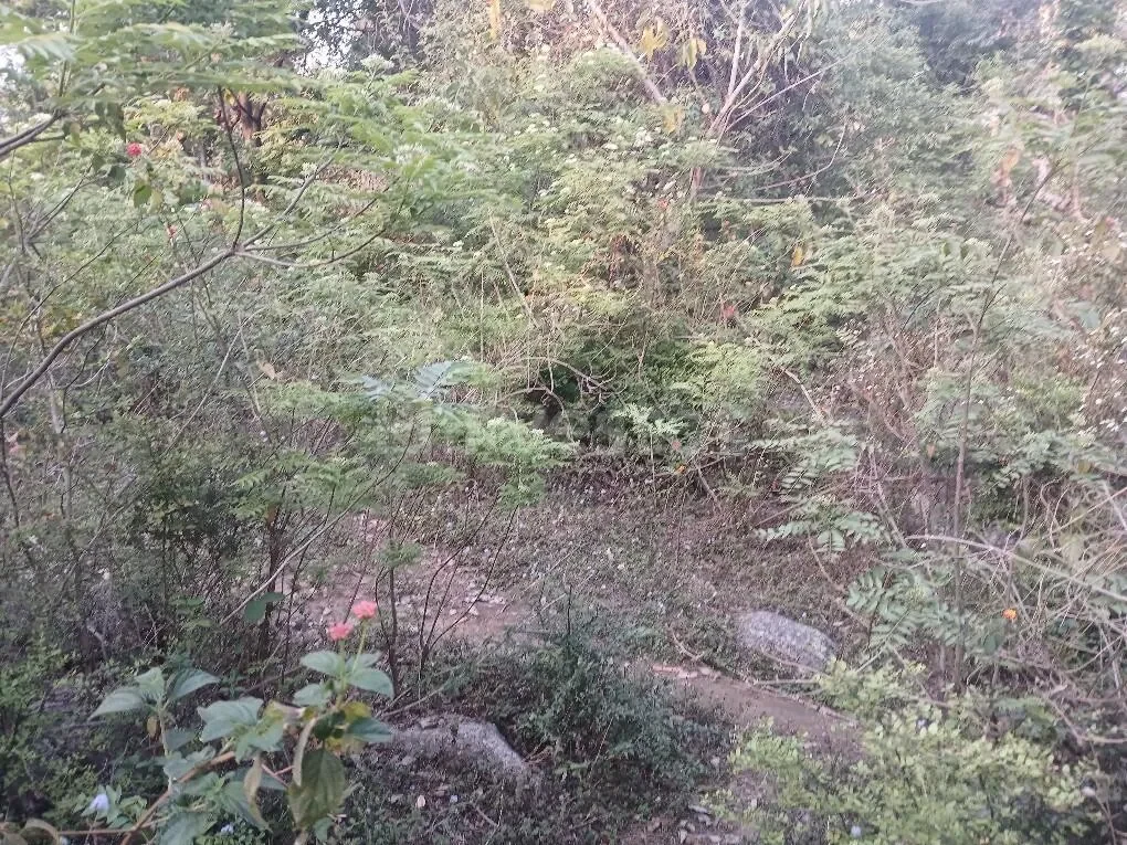 150 sq. yd. Residential Land in Sudher, Dharamshala