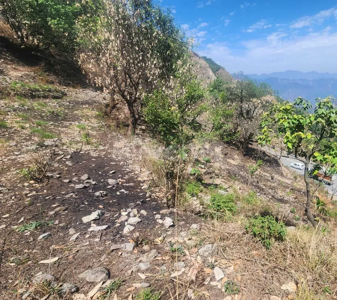 1,500 sq. yd. Residential Land near Kunjapuri Mata Ancient Temple, Narendra Nagar