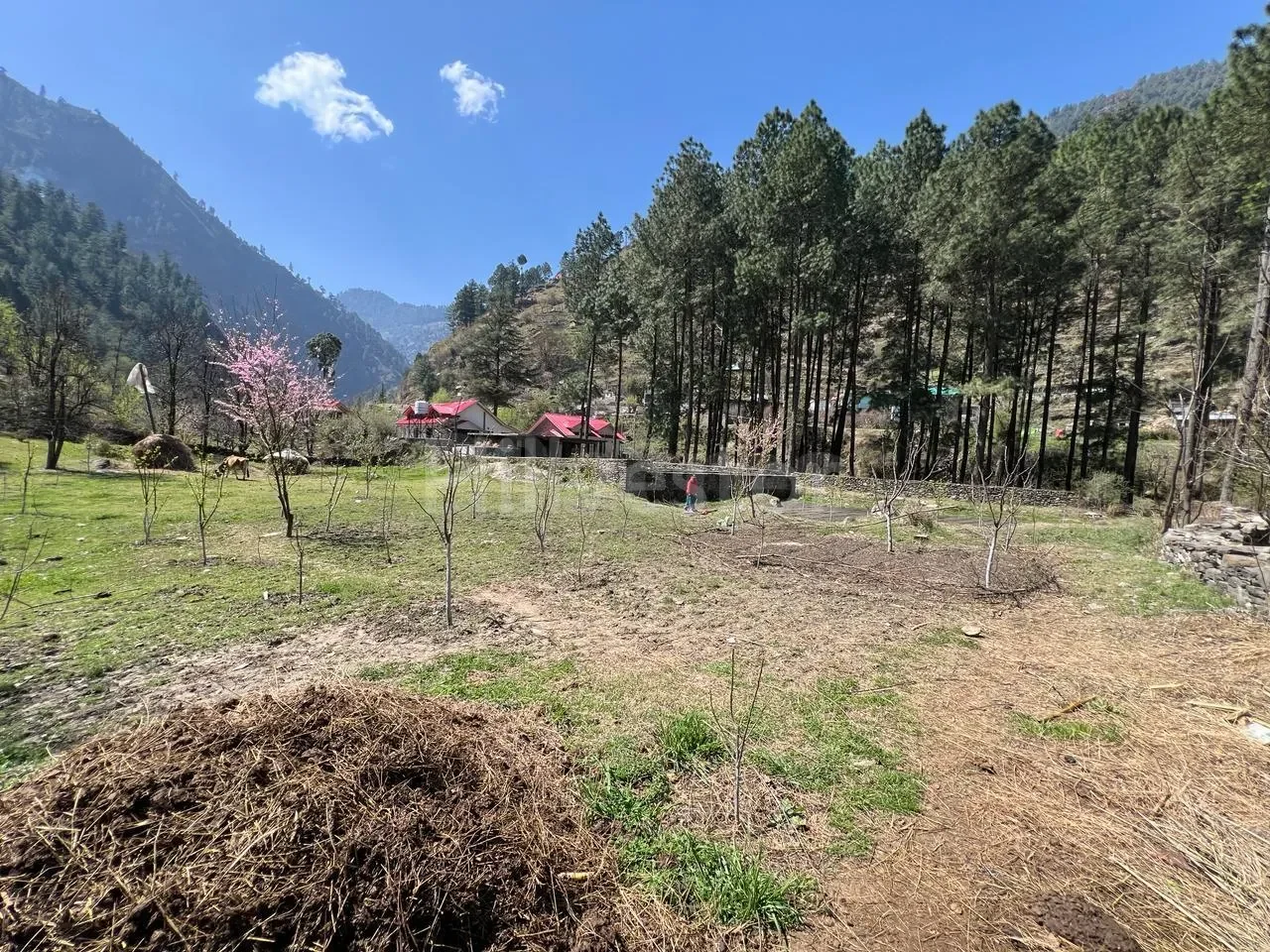 2,178 sq. yd. Residential Land in Pah Nala, Mohal, Kullu