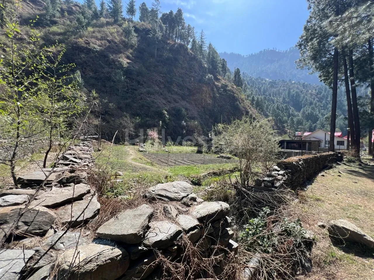 2,178 sq. yd. Residential Land in Pah Nala, Mohal, Kullu