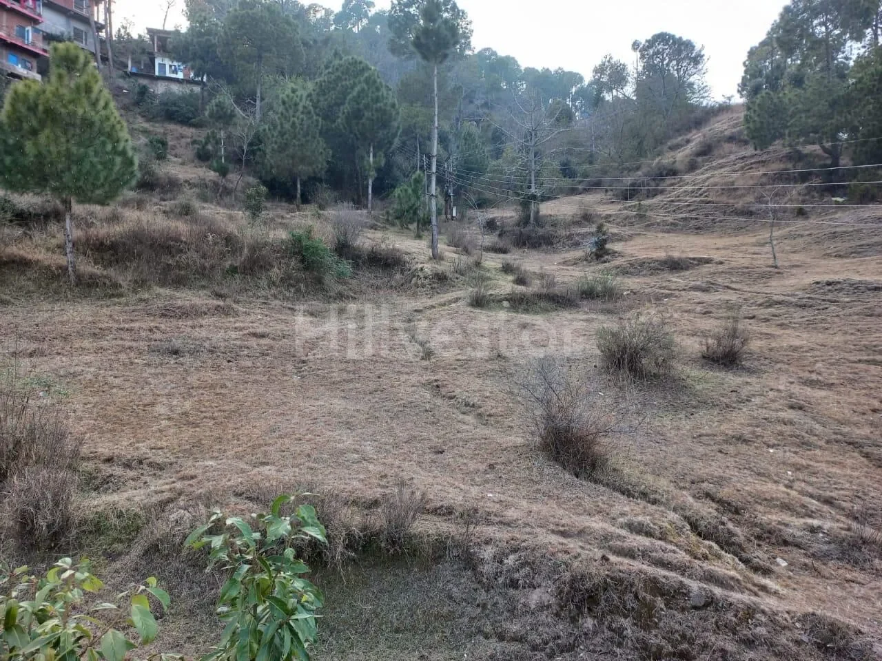 222 sq. yd. Residential Plot near Shilli, Shimla