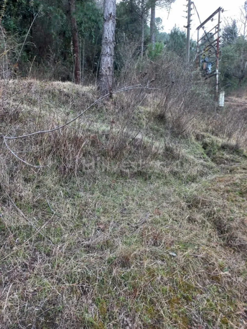 222 sq. yd. Residential Plot near Shilli, Shimla