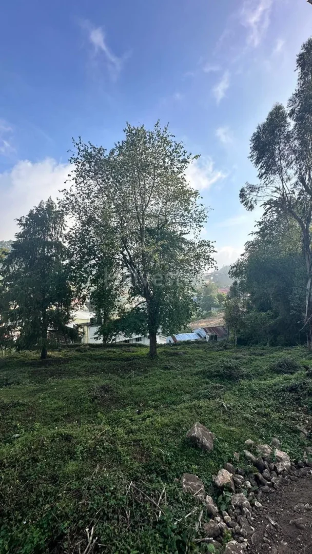 315 sq. yd. Residential Plot near Chettiar Park, Kodaikanal