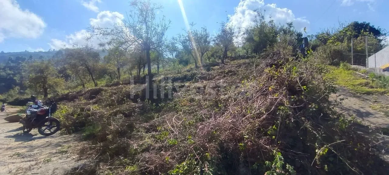 352 sq. yd. Residential Plot near Kodai IQRA School, Shenbaganur, Kodaikanal