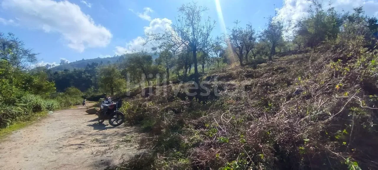352 sq. yd. Residential Plot near Kodai IQRA School, Shenbaganur, Kodaikanal