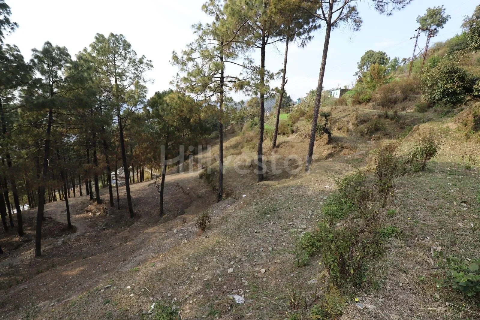 240 sq. yd. Residential Plot near Gumkhal, Lansdowne
