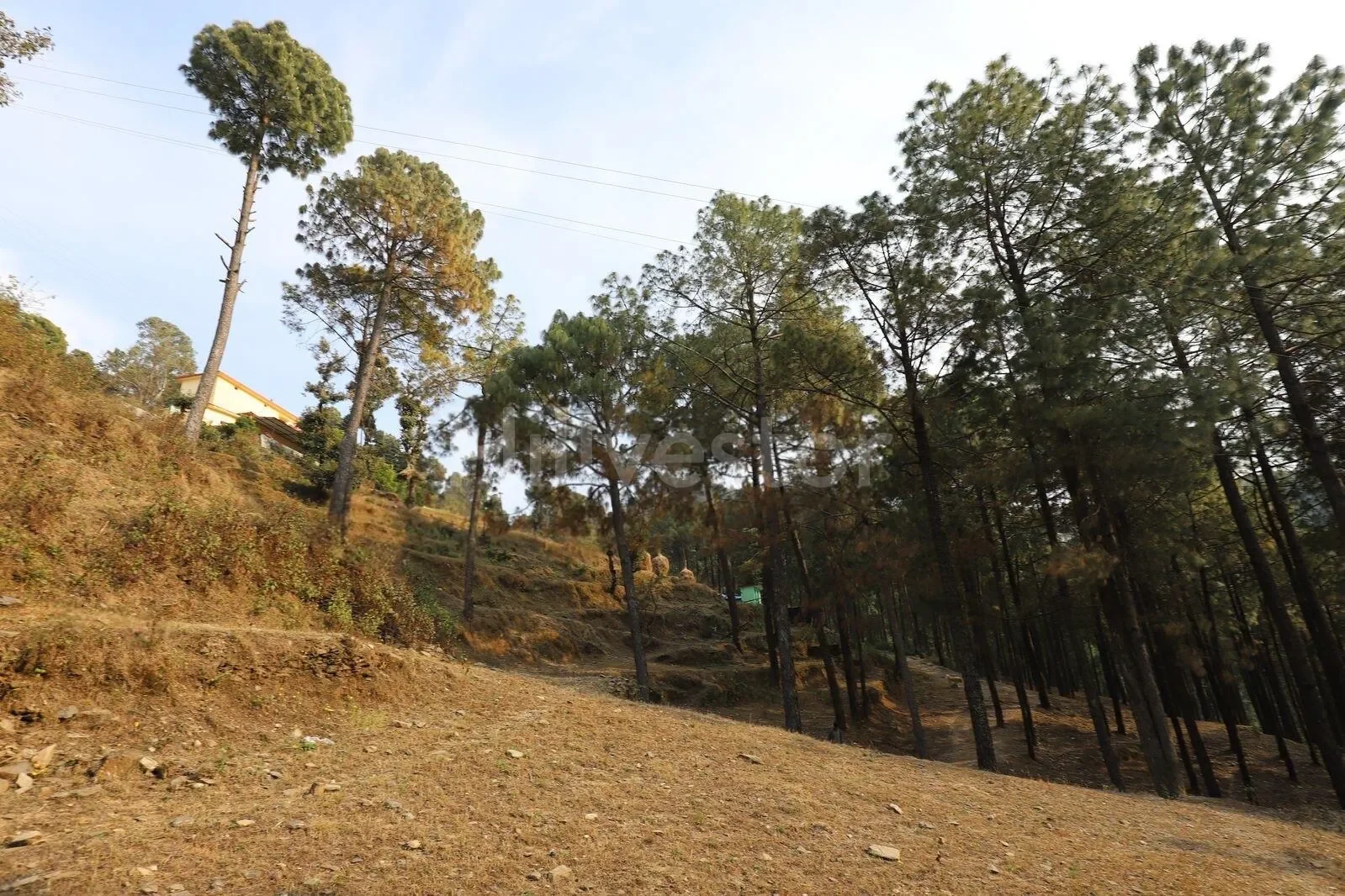 240 sq. yd. Residential Plot near Gumkhal, Lansdowne