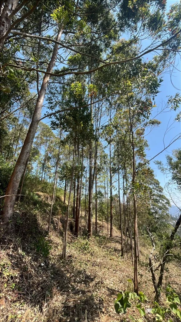 484 sq. yd. Residential Plot in Attuvampatti, Kodaikanal