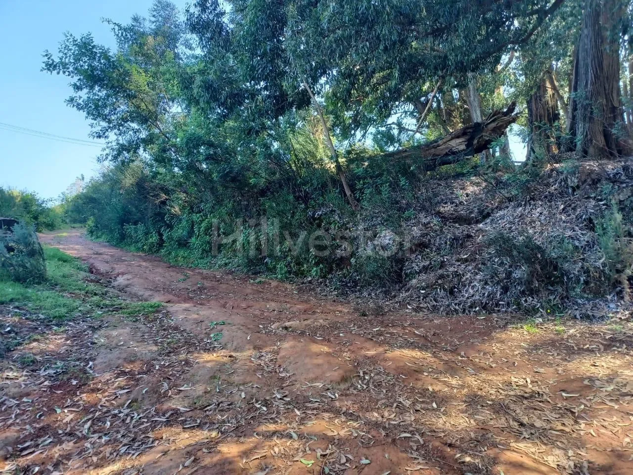 484 sq. yd. Residential Plot in Lovedale, Ooty