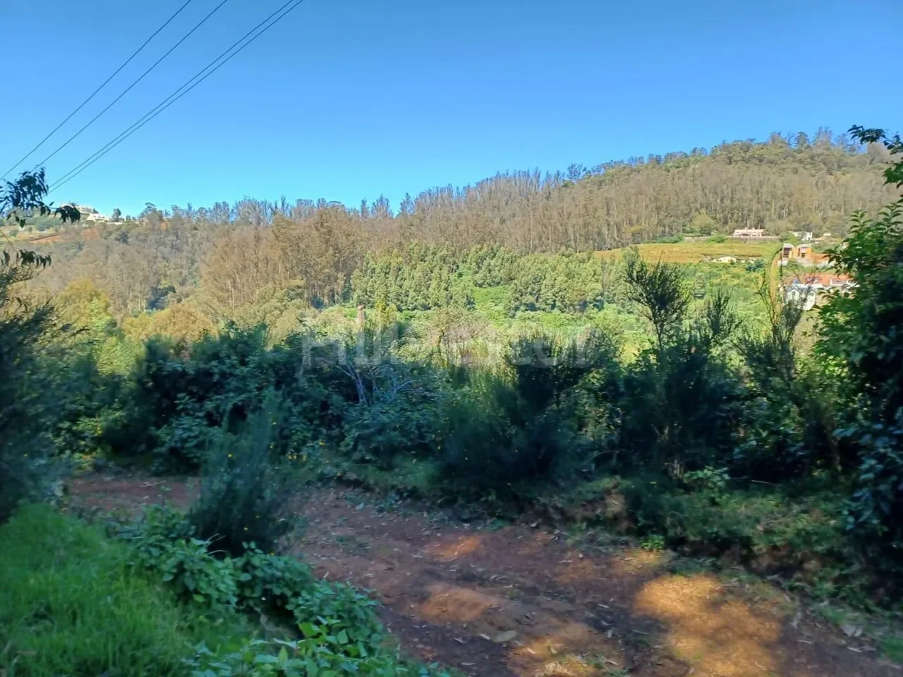 484 sq. yd. Residential Plot in Lovedale, Ooty