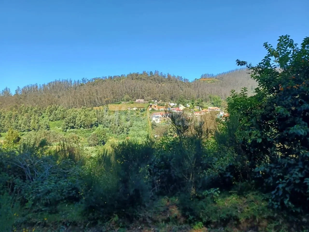 484 sq. yd. Residential Plot in Lovedale, Ooty