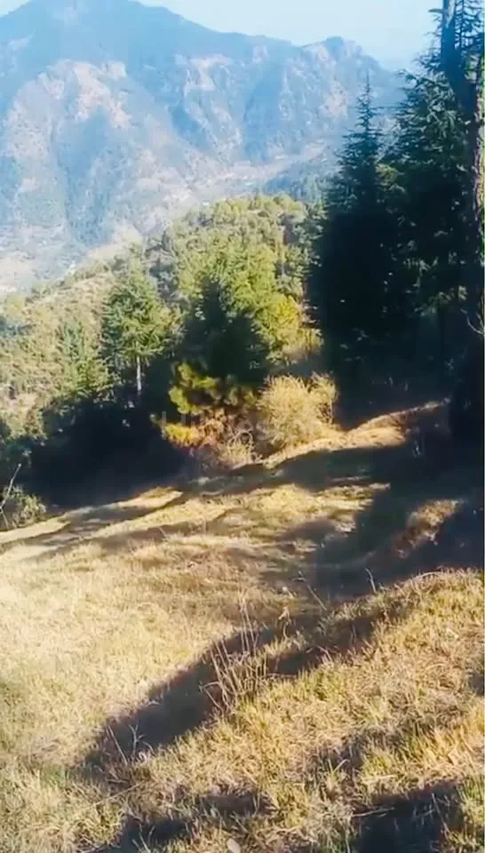 4,840 sq. yd. Residential Land near Phantom Hill, Basal, Solan
