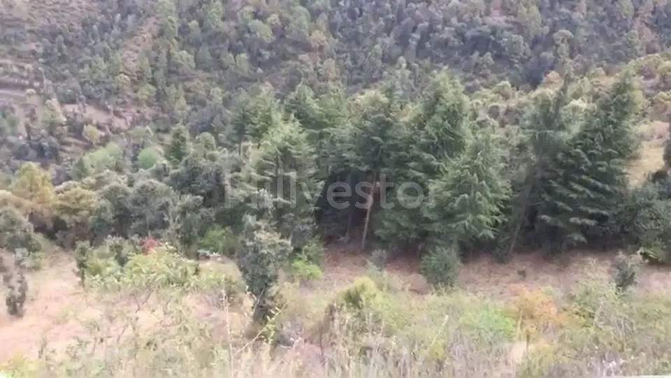 4,840 sq. yd. Residential Land near Phantom Hill, Basal, Solan