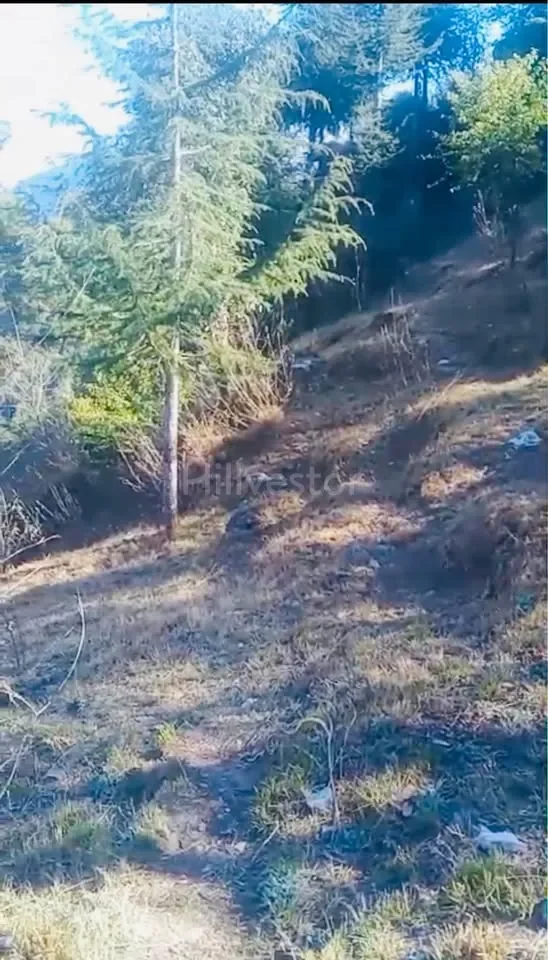 4,840 sq. yd. Residential Land near Phantom Hill, Basal, Solan