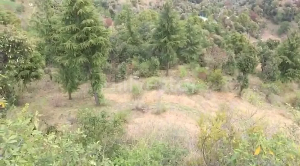 4,840 sq. yd. Residential Land near Phantom Hill, Basal, Solan