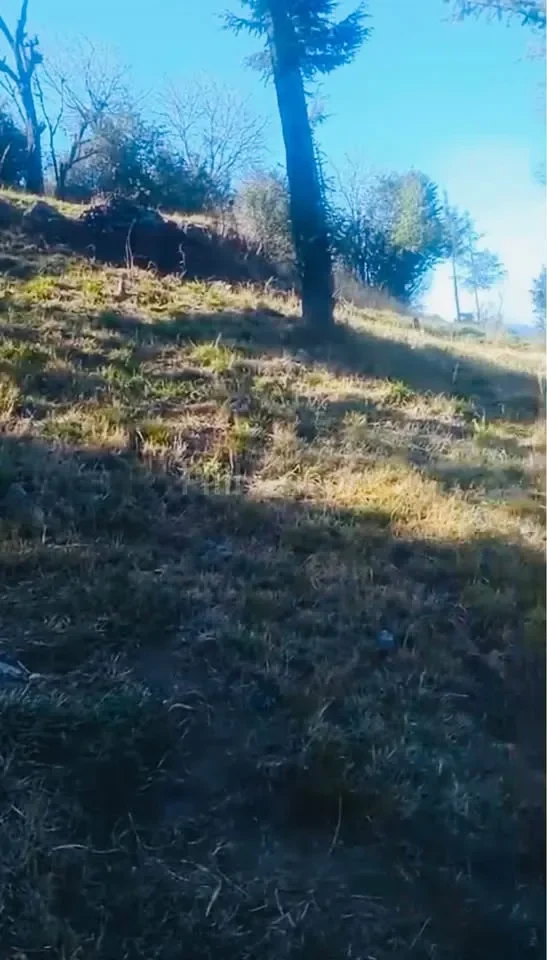 4,840 sq. yd. Residential Land near Phantom Hill, Basal, Solan