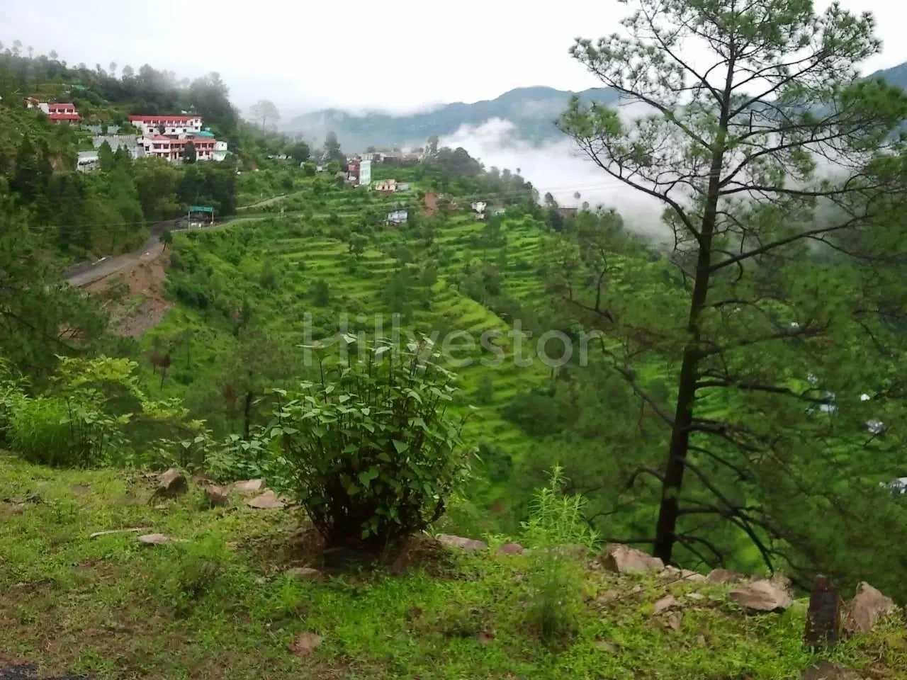 586 sq. yd. Residential Land near Kasang Regency Hill Resort, Lansdowne