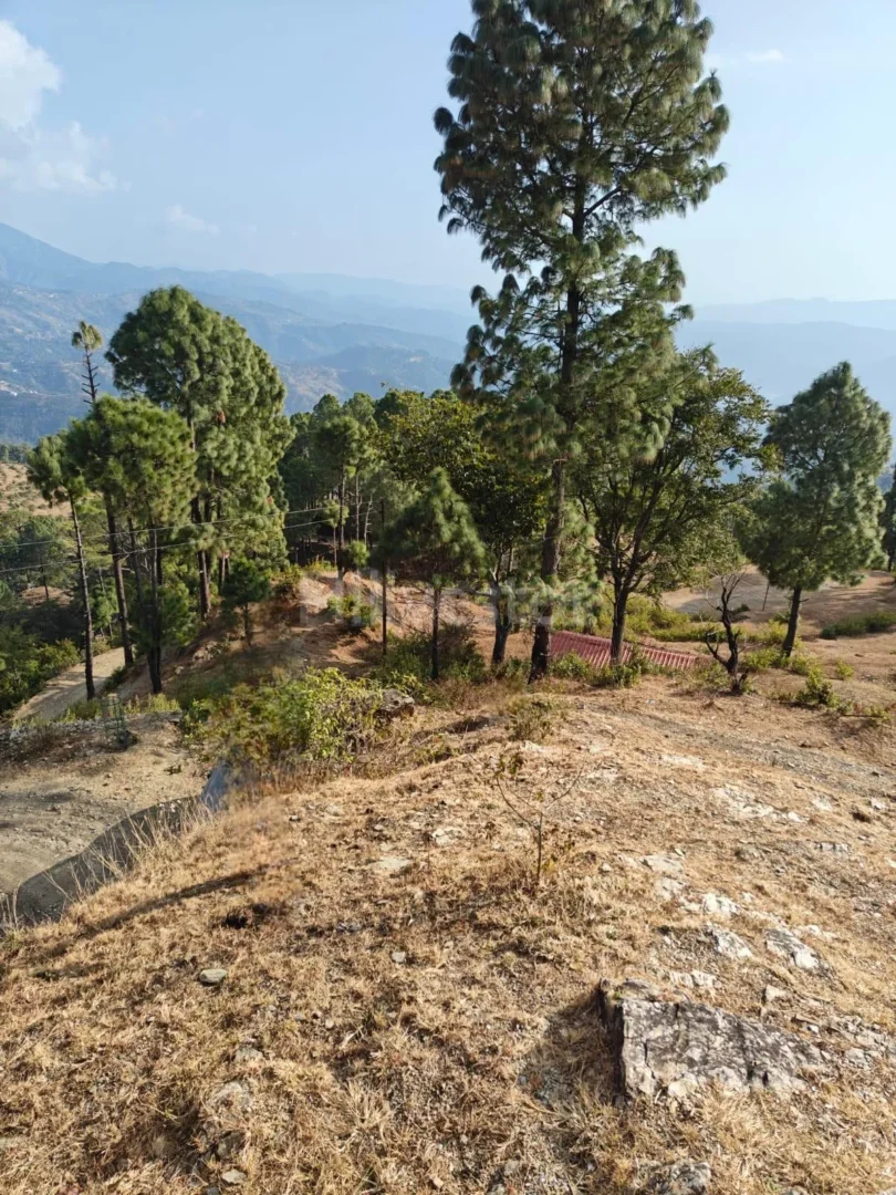 586 sq. yd. Residential Land near Kasang Regency Hill Resort, Lansdowne
