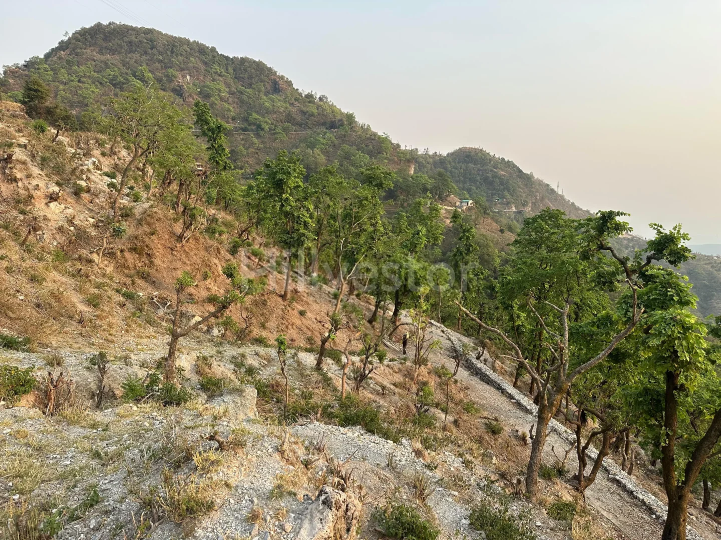 900 sq. yd. Residential Land near Bhatta Falls, Bhatta, Mussoorie