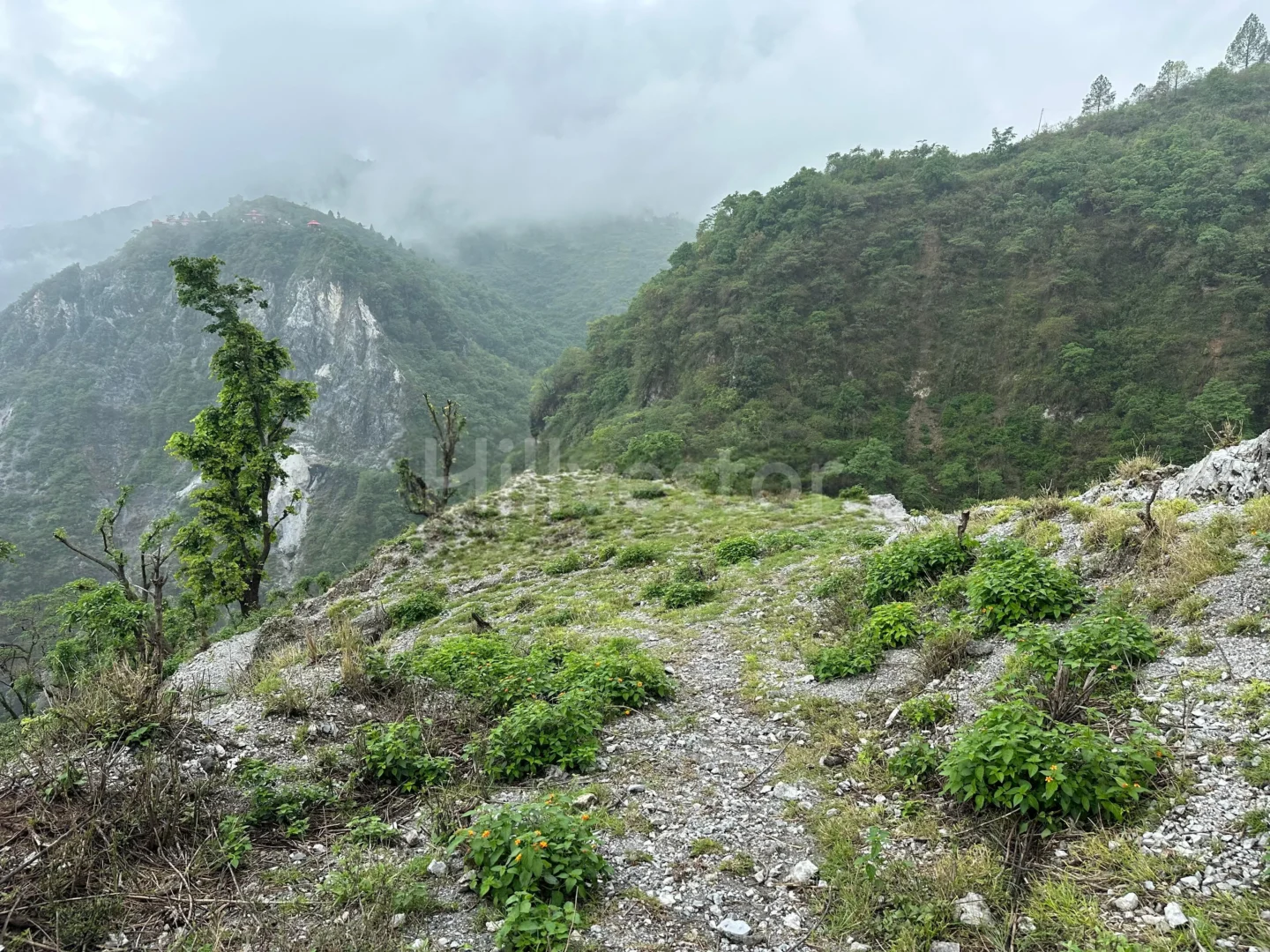 900 sq. yd. Residential Land near Bhatta Falls, Bhatta, Mussoorie