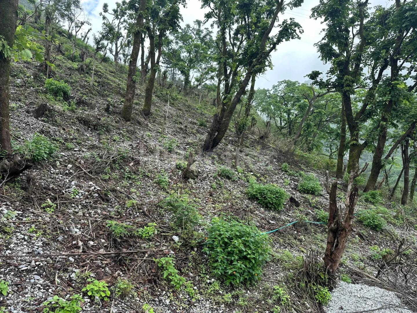 900 sq. yd. Residential Land near Bhatta Falls, Bhatta, Mussoorie