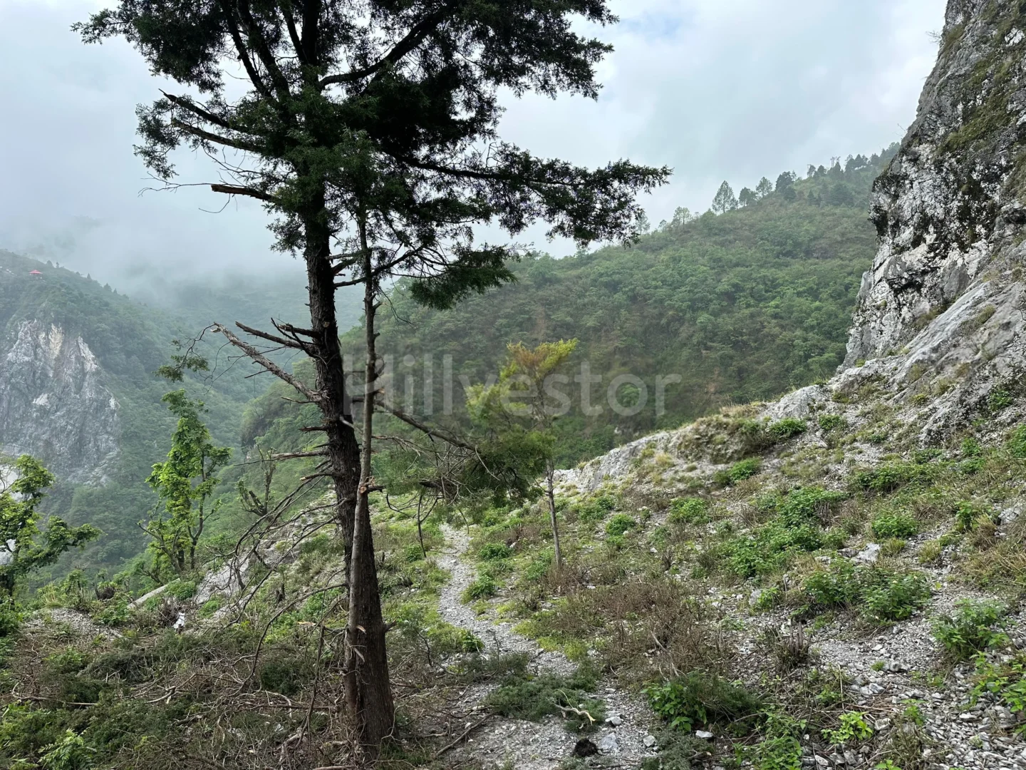 900 sq. yd. Residential Land near Bhatta Falls, Bhatta, Mussoorie