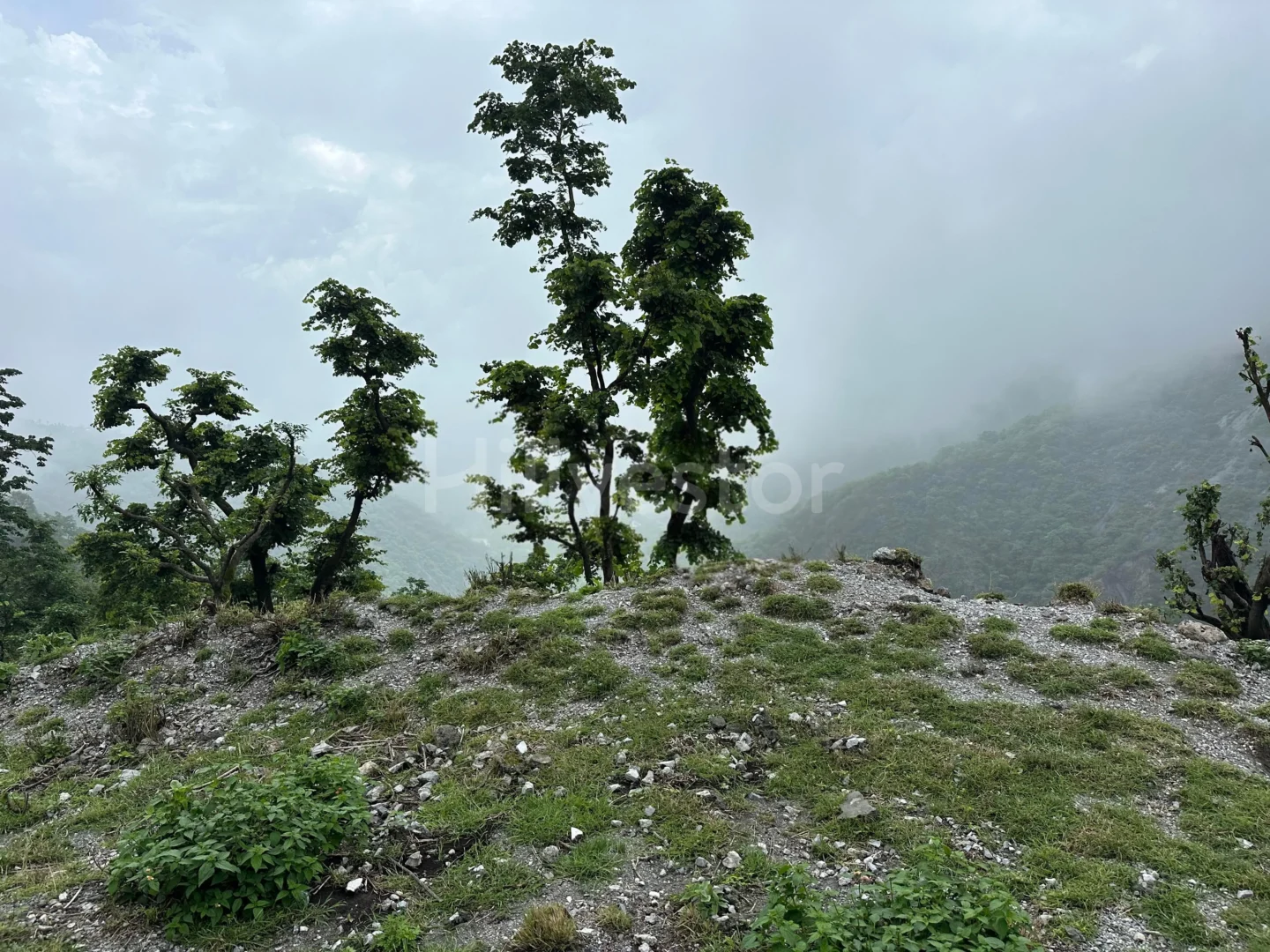 900 sq. yd. Residential Land near Bhatta Falls, Bhatta, Mussoorie
